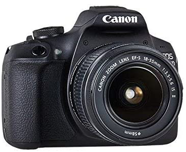 Canon eos 2000d kit примеры фото