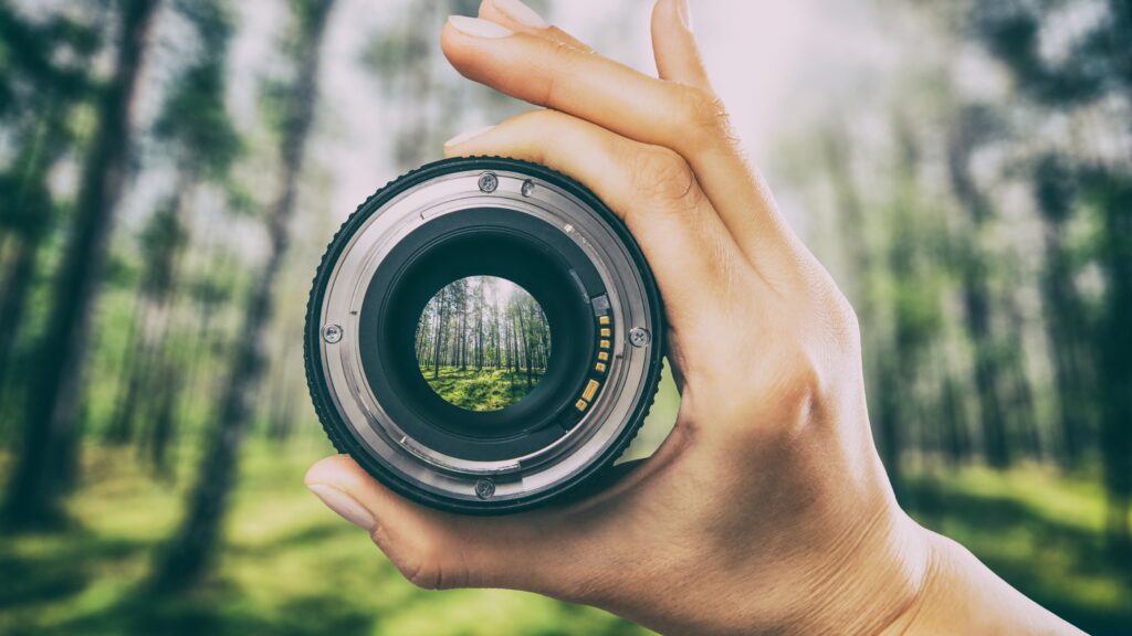 Cómo Elegir el Lente Perfecto para Tu Estilo de Fotografía Tipos de Lentes y Cuándo Usarlos